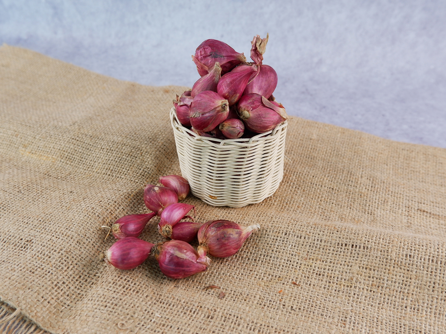 Indonesian Shallot Farm